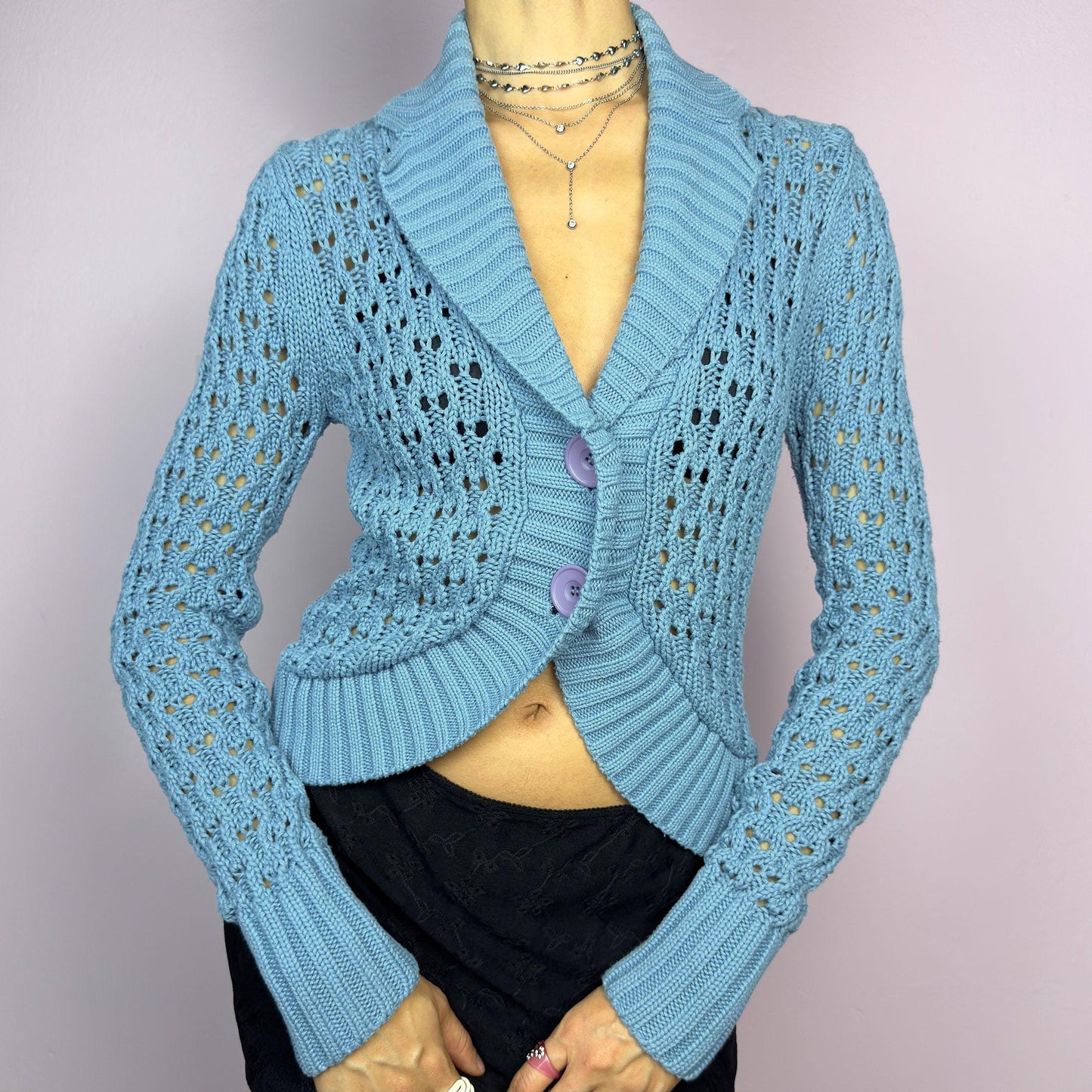 The Y2K Blue Open Knit Cardigan is a vintage 2000s charming and cozy bolero. This cropped cardigan features a textured open-knit design, a light blue tone and large buttons on the front. Perfect for layering to create a casual. adult world shop